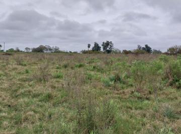Terreno · 40000m² · Campo de 4 Ha en Granja Amelia a 10 Km de Goya