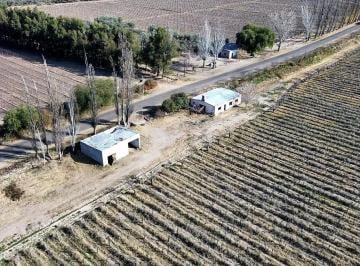 Campo , Santa María de Oro · Finca de 25 Hectáreas 8.600 m² en Venta - D° a Riego y Pozo – Santa María de Oro, Rivadavia