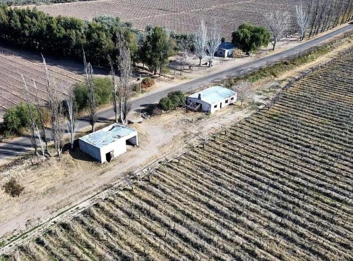Campo · 25ha