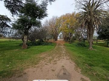 Campo · 9ha · Hermoso Campo de 9 Ha Cercania a Autop. 9
