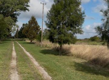 Campo · 400m² · Campo en Venta de 39 Ha con Mejoras