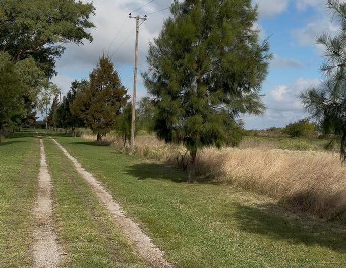 Campo · 400m²