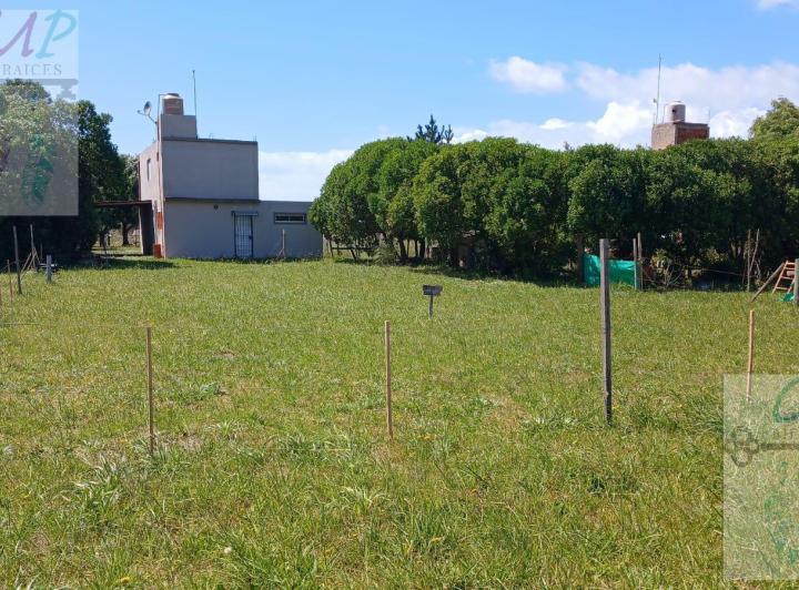 Terreno · 450m²
