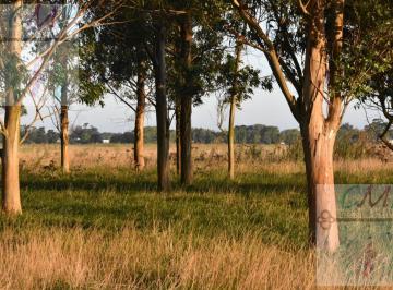 Campo · 70ha · Terreno en Mar Chiquita