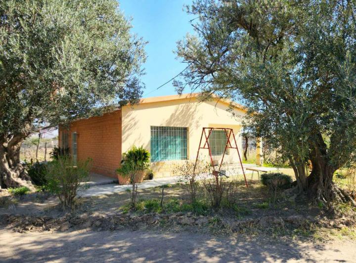 Campo · 346ha