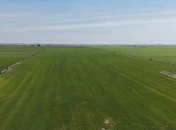 Campo · 70ha · Se Vende Campo en Nogoya!