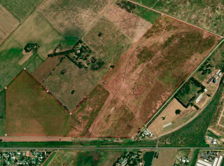Campo · 110ha