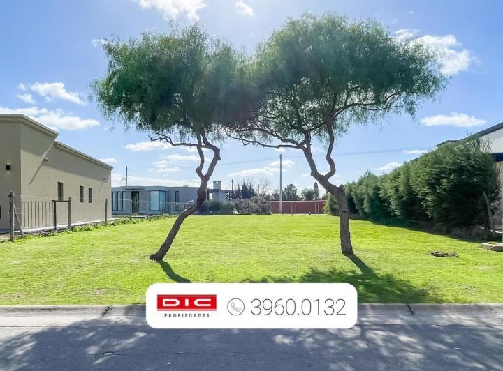 Terreno · 590m²