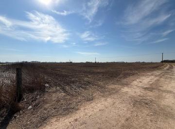 Campo · 61ha · Campo Agricola en Venta en Pinzon