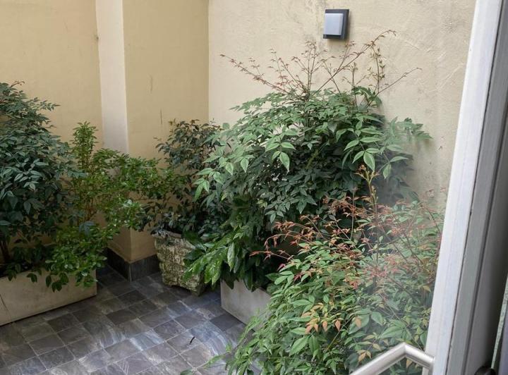 Departamento en alquiler en Mar del Plata · 2 ambientes