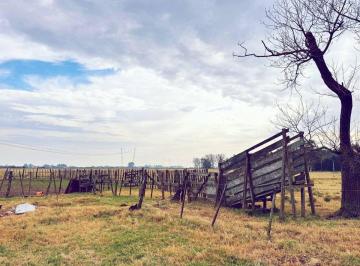 Campo · 203ha · Campo en Venta La Plata Abasto
