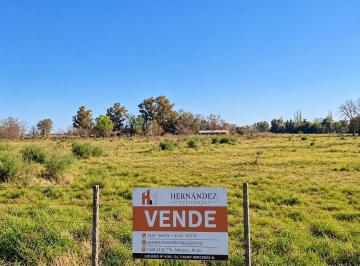 Terreno · 13000m² · Dos Terrenos de 1.3ha en San Jacinto