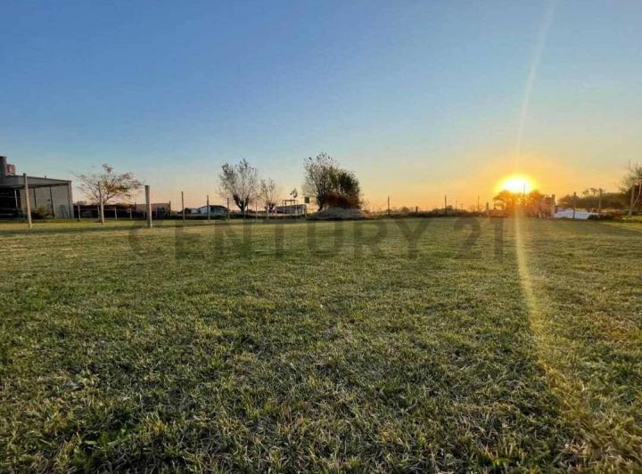 Terreno · 656m²