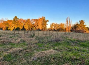 Terreno · 200m² · Amplio Terreno Ubicación Estratégica - Próximo Rotonda - Venado Tuerto