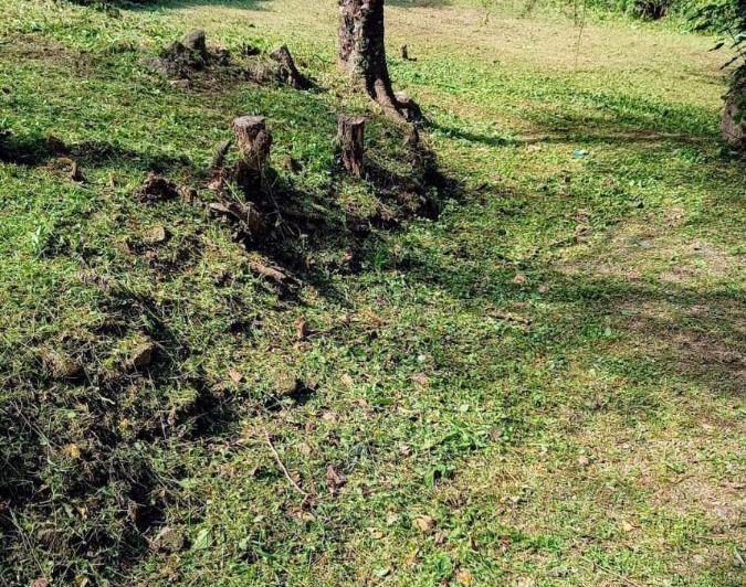 Terreno · 300m²