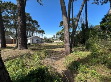 Foto1 · Terreno en Venta en Marly, Punta del Este