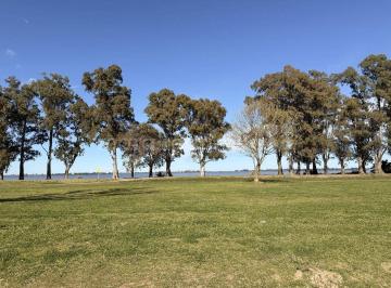 MRE-MRE-2552_2 · En Venta Lote Frente Laguna de Chascomus con Todos Los Servicios