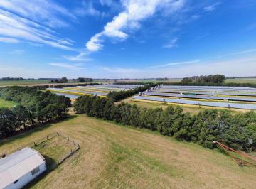 Campo · 25m² · 1 Ambiente · Granja Avicola - Producción a Gran Escala