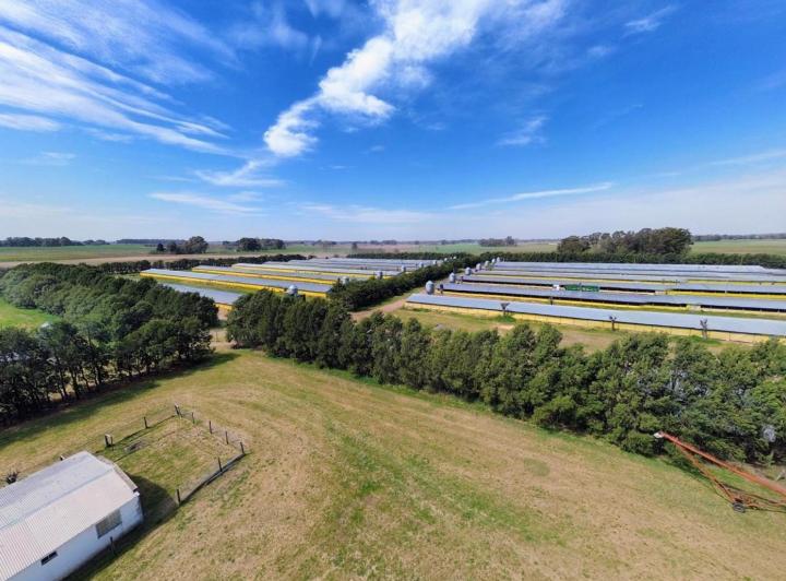 Campo · 25m² · 1 Ambiente