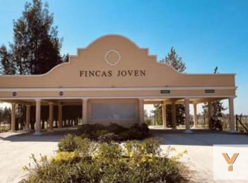 Terreno · 620m² · Terreno en Venta - 620 m² - Finca Joven