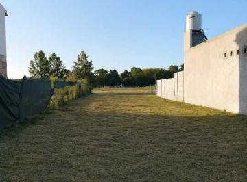 Terreno · 300m² · Se Vende Terreno en Altos de La Lonja