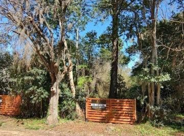 Terreno · 300m² · Excelente Lote en Maschwitz – 300 m² con Entorno Arbolado y Gran Acceso