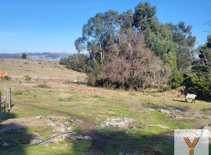 Terreno · 1600m²