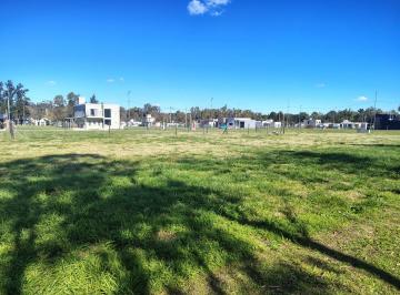Terreno · 309m² · Venta de Lote en El Barrio La Vikinna El Pato