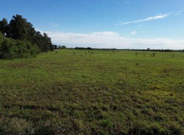 Terreno , Avellaneda · En Venta: Terreno en Zona de Quintas, Avellaneda