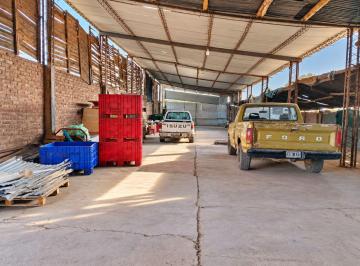 Bodega-Galpón · 585m² · Alquiler Terreno con Galpón Perdriel Luján de Cuyo