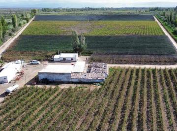 Campo , Jocolí · Finca de 15 Ha D° Riego, Pozo, Goteo
