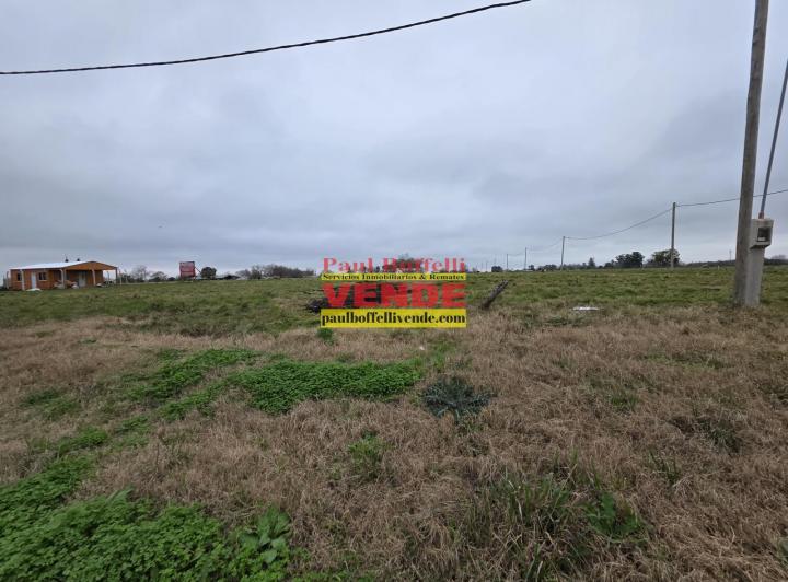 Terreno · 350m²