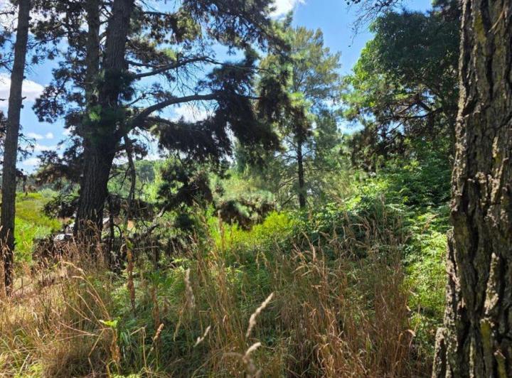 Terreno · 475m²