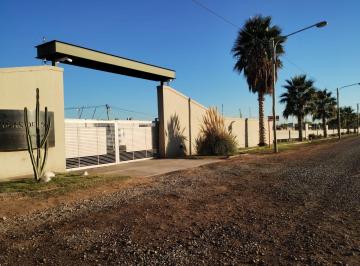 Terreno · 300m² · Venta Lote Guaymallen Mendoza Corralitos