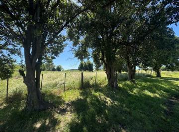 Terreno · 472m² · Terrenos en Venta en Manuel Ocampo