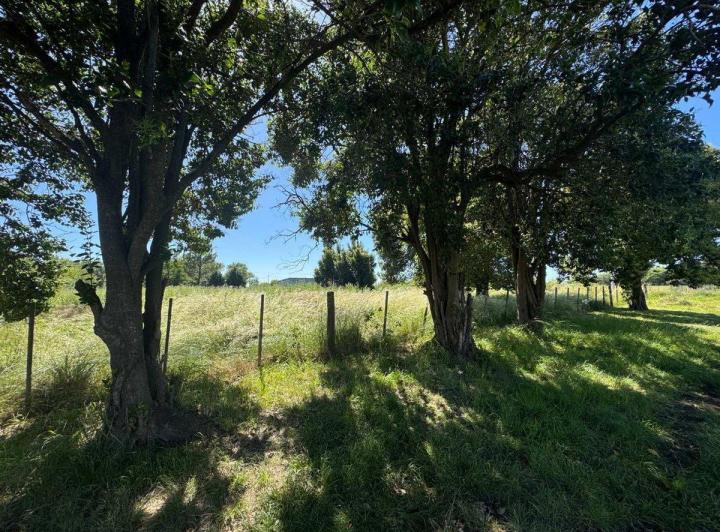 Terreno · 472m²