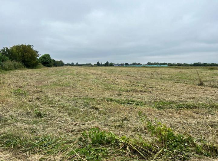 Terreno · 13000m²
