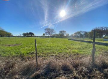 Terreno · 1309m² · Lte Frente Al Rio | Acceso a La Costa| Pj Remanso