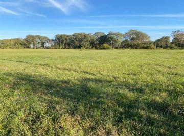 Terreno · 980m² · Lote en Zona Chiappe