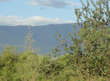 Terreno · 8665m² · Dos Lotes en Venta en Carpintería 8.665 m²