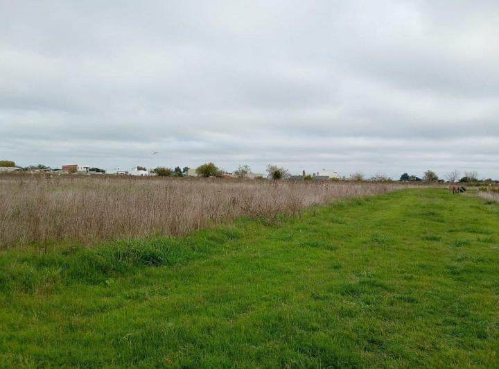 Campo · 6ha