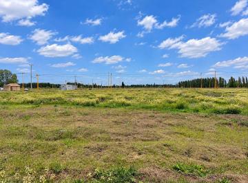 Terreno · 250m² · Terreno en Venta en Loteo La Rufina III