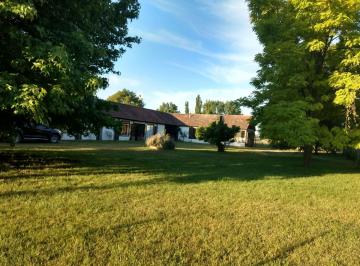Terreno · 80000m² · Venta de Terreno 8hs en Ruta 2 Km65