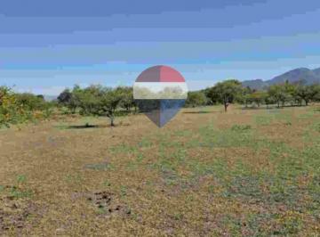 Terreno · 2600m² · Venta Terreno 2600 m² La Toma - San Antonio