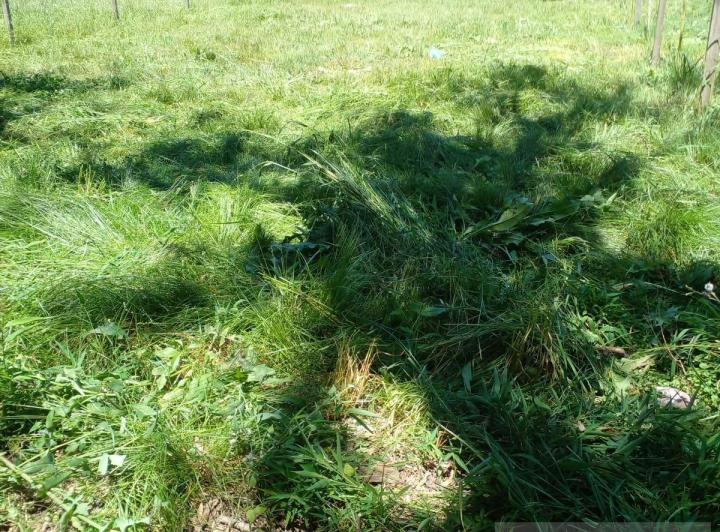Terreno · 350m²