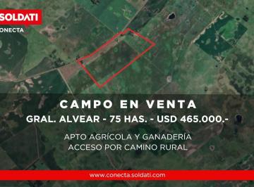 Campo · 75ha · Campo Mixto de 75 Hectáreas en Gral. Alvear