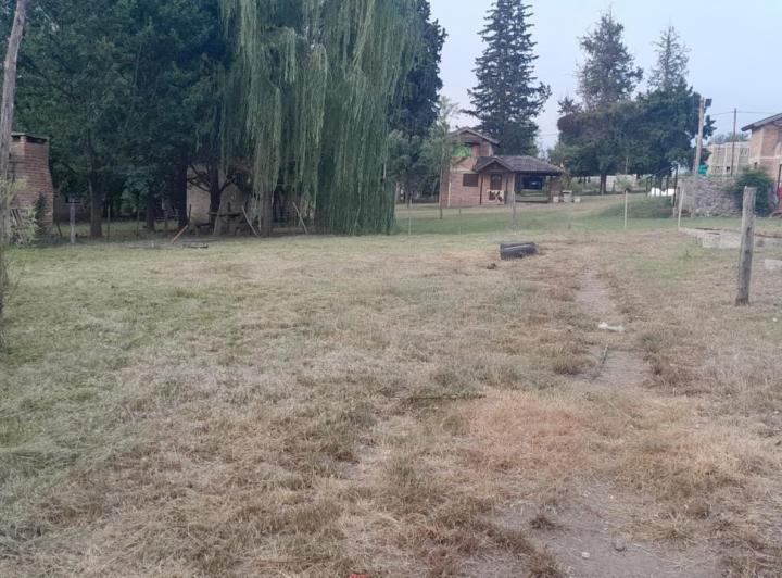 Terreno