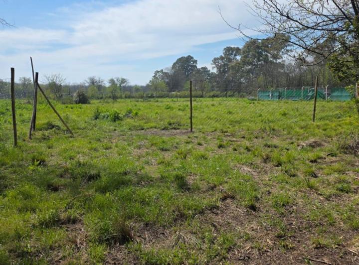 Terreno · 710m²