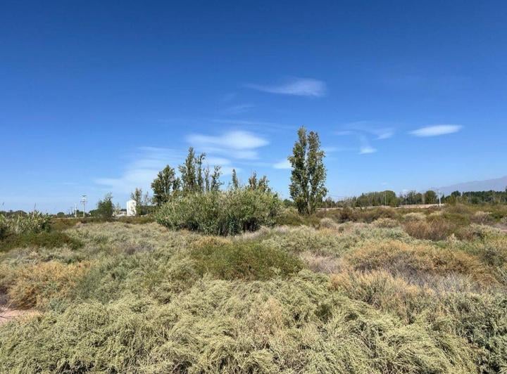 Terreno · 19000m²