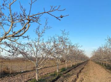 Terreno · 52m² · Finca de Nogales en Venta en Altamira Valle de Uco